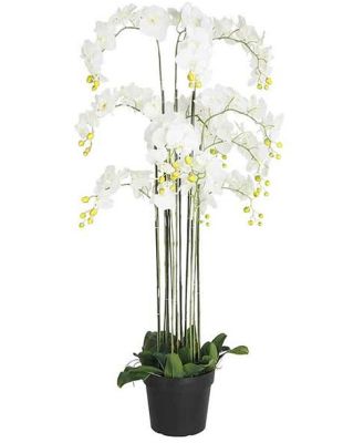 Fiore Orchid 13 Stems 150cm