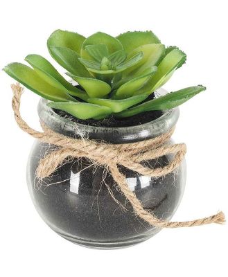 Floret Cactus Plant In Pot 9x9x8cm