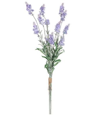 Floret Lavender Bush 72cm