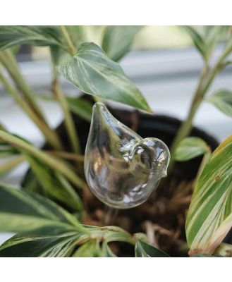 Bird Plant Watering Bubble