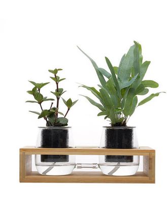 Contemporary Plant Grow Station