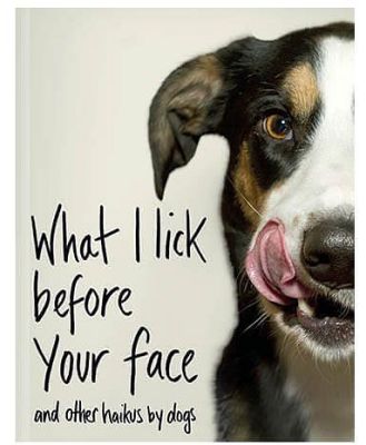 What I Lick Before Your Face