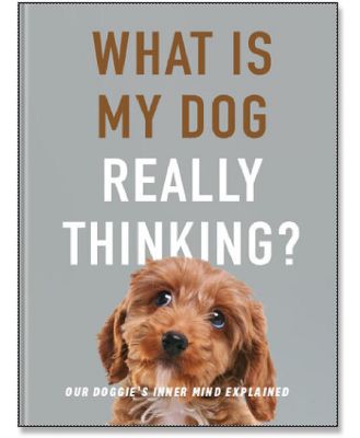 What is my Dog Really Thinking?