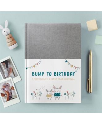 Bump to Birthday Pregnancy and First Year Journal