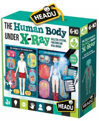 Headu Human Body Under X-Ray Activity Kit