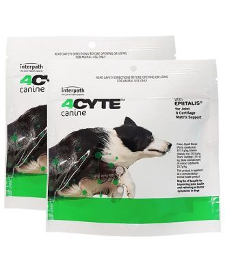4CYTE Oral Joint Supplement for Dogs 50g Granules