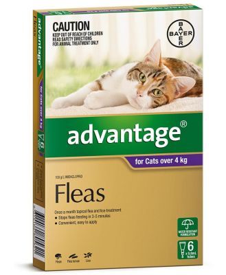 Advantage Spot-On Flea Control Treatment for Cats over 4kg - 6-Pack