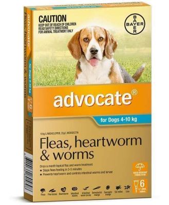 Advocate for Dogs - 6 Pack - Treats Fleas & Worms for Dogs 4-10kg - 6pk