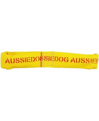 Aussie Dog Eightathong Floating Tug Dog Toy -