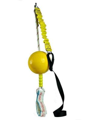 Aussie Dog Home Alone Hanging Treat Dispensing Dog Toy - Extra