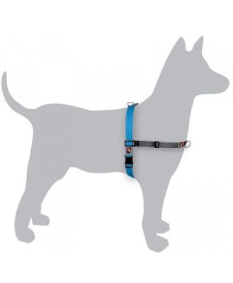 Black Dog Balance Dog Halter with Front & Back attach D-Rings - Small - Blue