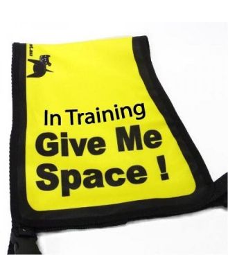 Black Dog Give Me Space Awareness Vest for Dogs -