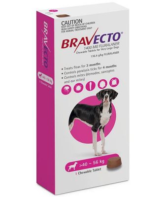 Bravecto Very Large Dog Purple Over 40kg Single Chew Flea & Tick Control - Extra