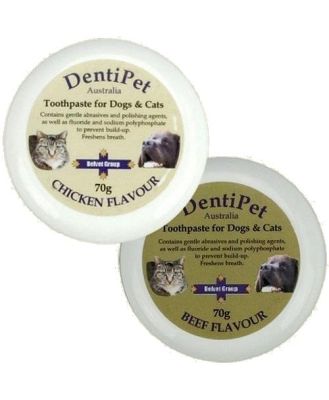 Dentipet Toothpaste for your Cat or Dog [Flavour: Chicken]