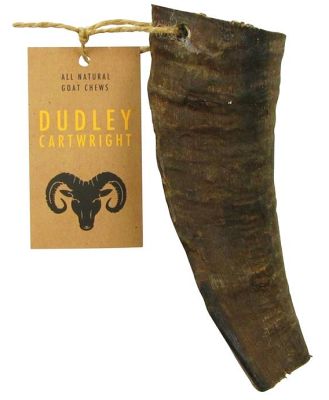 Dudley Cartwright Natural Goat Horns Dog Chews - Cropped