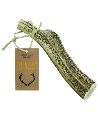 Dudley Cartwright Whole Antler [Size: