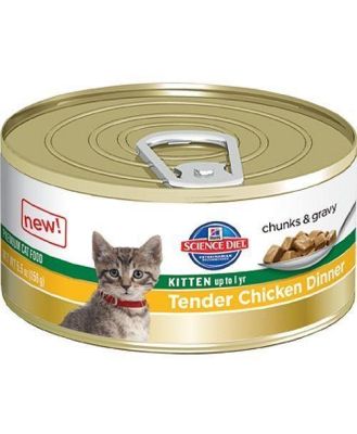 Hills Science Diet Kitten Tender Dinners Chicken Cat Food 156g x 24 Cans