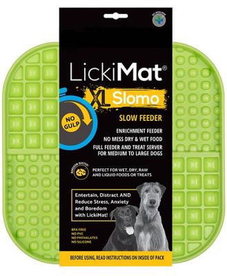 LickiMat Slomo Wet & Dry Double Slow Food Dog Bowl - X-Large Green