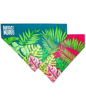 Max & Molly Bandana for Cats & Dogs - Tropical -
