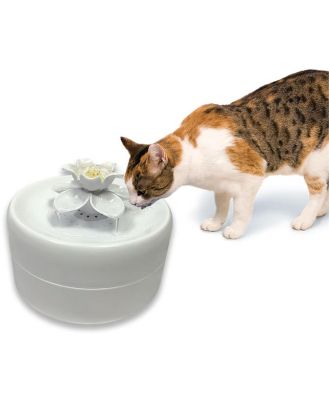 Pioneer Pet Magnolia Petal Fresh Water Pet Drinking Fountain 1.6 Litres