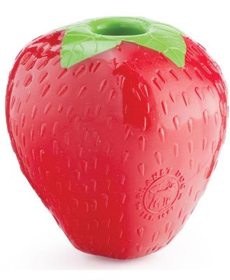 Planet Dog Orbee Tuff Foodies Tough Dog Toy - Strawberry