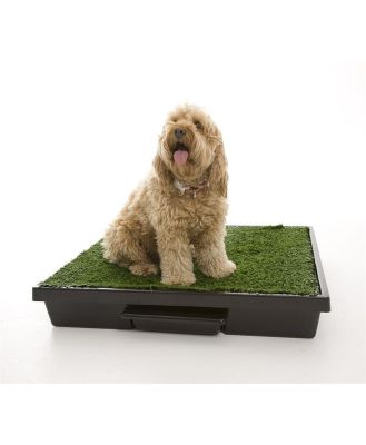 The Original Pet Loo for Indoor or Outdoor Use -