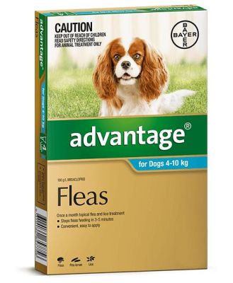 Advantage Dog Medium Aqua 6 Pack