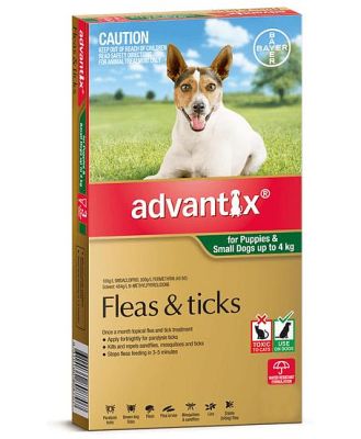Advantix Dog Small Green 6 Pack