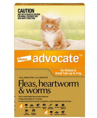 Advocate Cat Small Orange 1 Pack