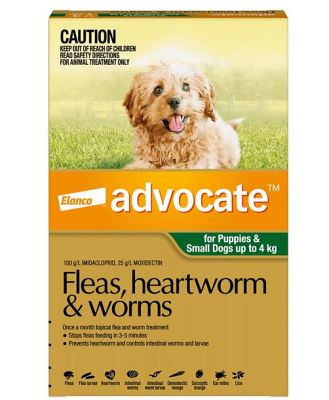 Advocate Dog Small Green 12 Pack