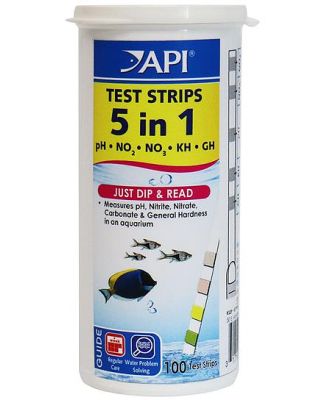 Api 5 In 1 Quick Testing Strips Each