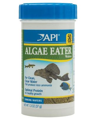 Api Algae Eater Wafers 181g