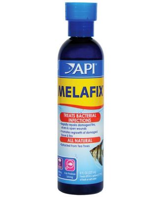 Api Melafix Freshwater Fish Infection Remedy 237ml
