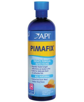 Api Pimafix Freshwater And Saltwater Fish Fungal Infection Remedy 118ml