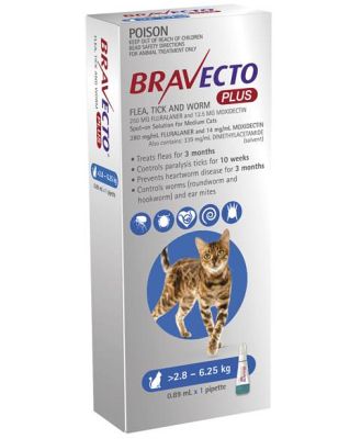 Bravecto Plus For Medium Cats Protection 1 Pack