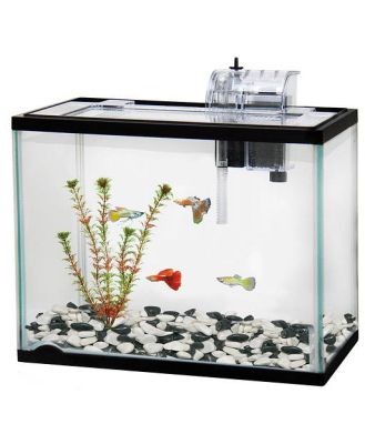 Classica Aquarium Starter Kit 12L