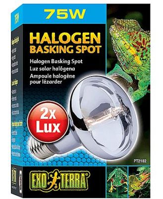 Exo Terra Halogen Basking Spot Lamp 50w
