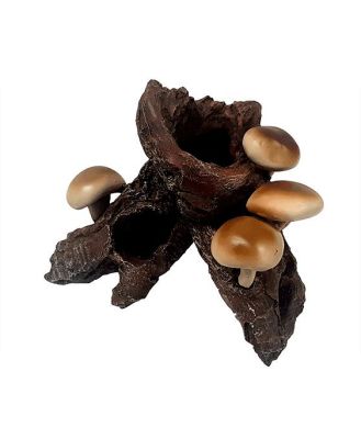 Ipetz Mushrooms On Driftwood Each