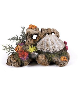 Kazoo Action Clam With Coral And Plants