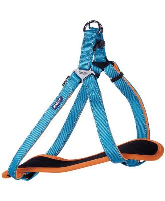 Kazoo Harness Active Ocean Sunrise