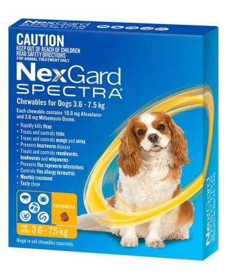 Nexgard Spectra Small Dog 6 Pack
