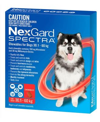 Nexgard Spectra Very Large Dog 6 Pack