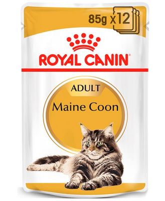 Royal Canin Maine Coon Adult Wet Cat Food Pouches 48 X 85g