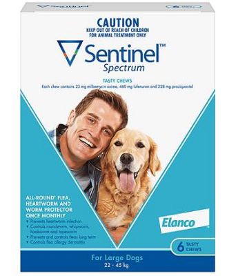 Sentinel Spectrum Chews Large Blue 12 Pack