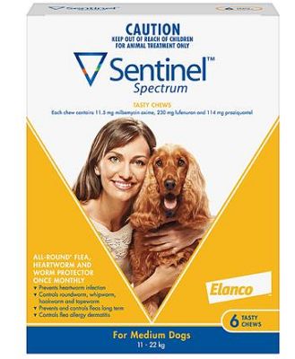 Sentinel Spectrum Chews Medium Yellow 12 Pack