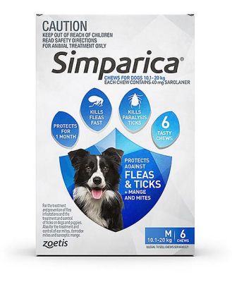 Simparica Flea Tick Chews Medium Dog 3 Pack