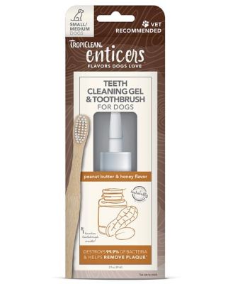 Tropiclean Enticers Teeth Cleaning Kit Peanut Butter And Honey