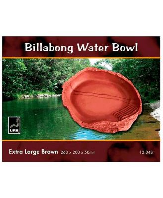 Urs Billabong Bowl Brown X
