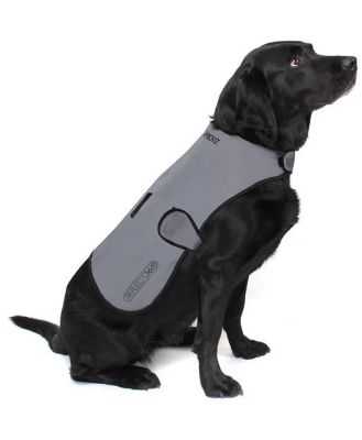 Proviz Reflect360 Waterproof Dog Coat
