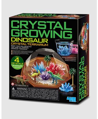 4M - 4M   Crystal Growing   Dinosaur Crystal Terrarium - Educational & Science Toys (Multi Colour) 4M - Crystal Growing - Dinosaur Crystal Terrarium